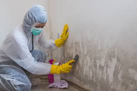 Why You Should Choose Our Mold Remediation Services in Bunnell, FL